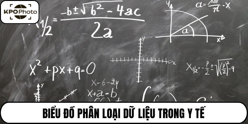 Biểu đồ phân loại dữ liệu trong y tế
