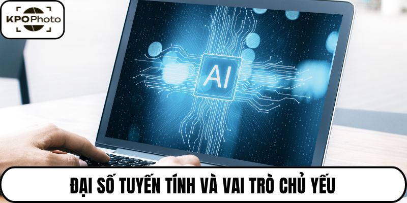 Đại số tuyến tính và vai trò chủ yếu
