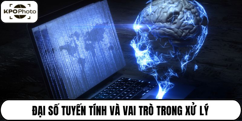 Đại số tuyến tính và vai trò trong xử lý